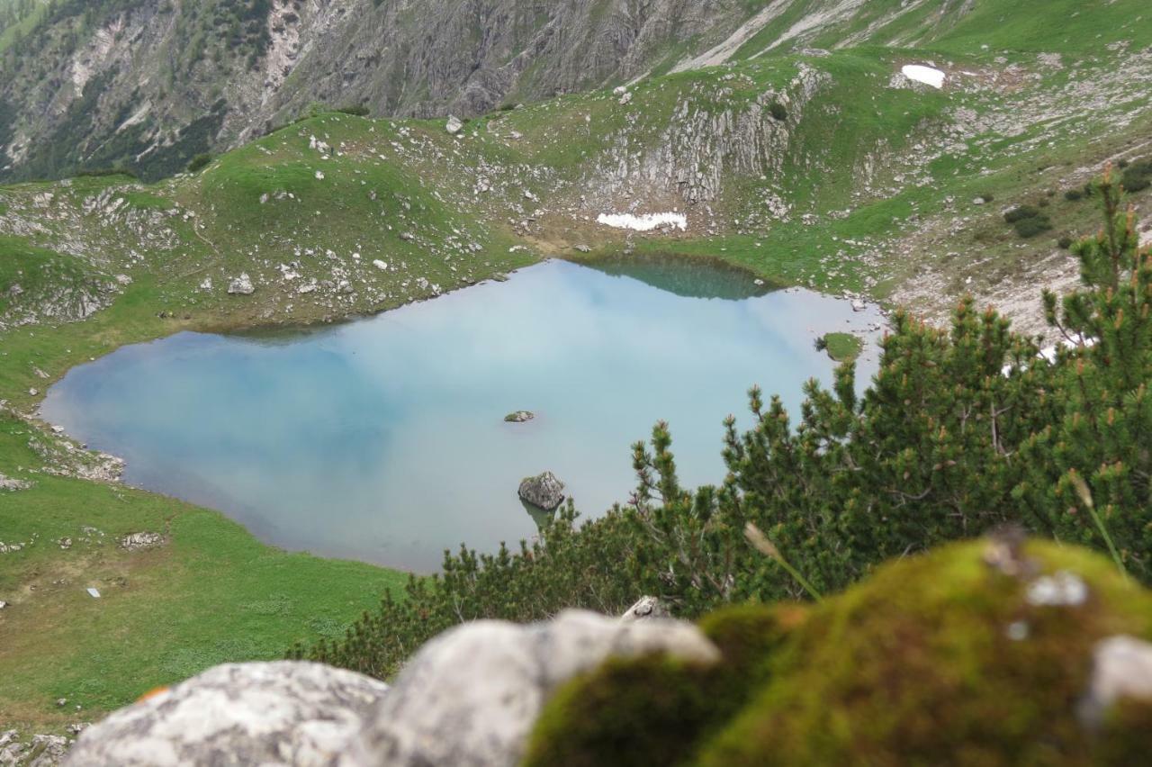 Alpentraum - Alpengrün Oberstdorf