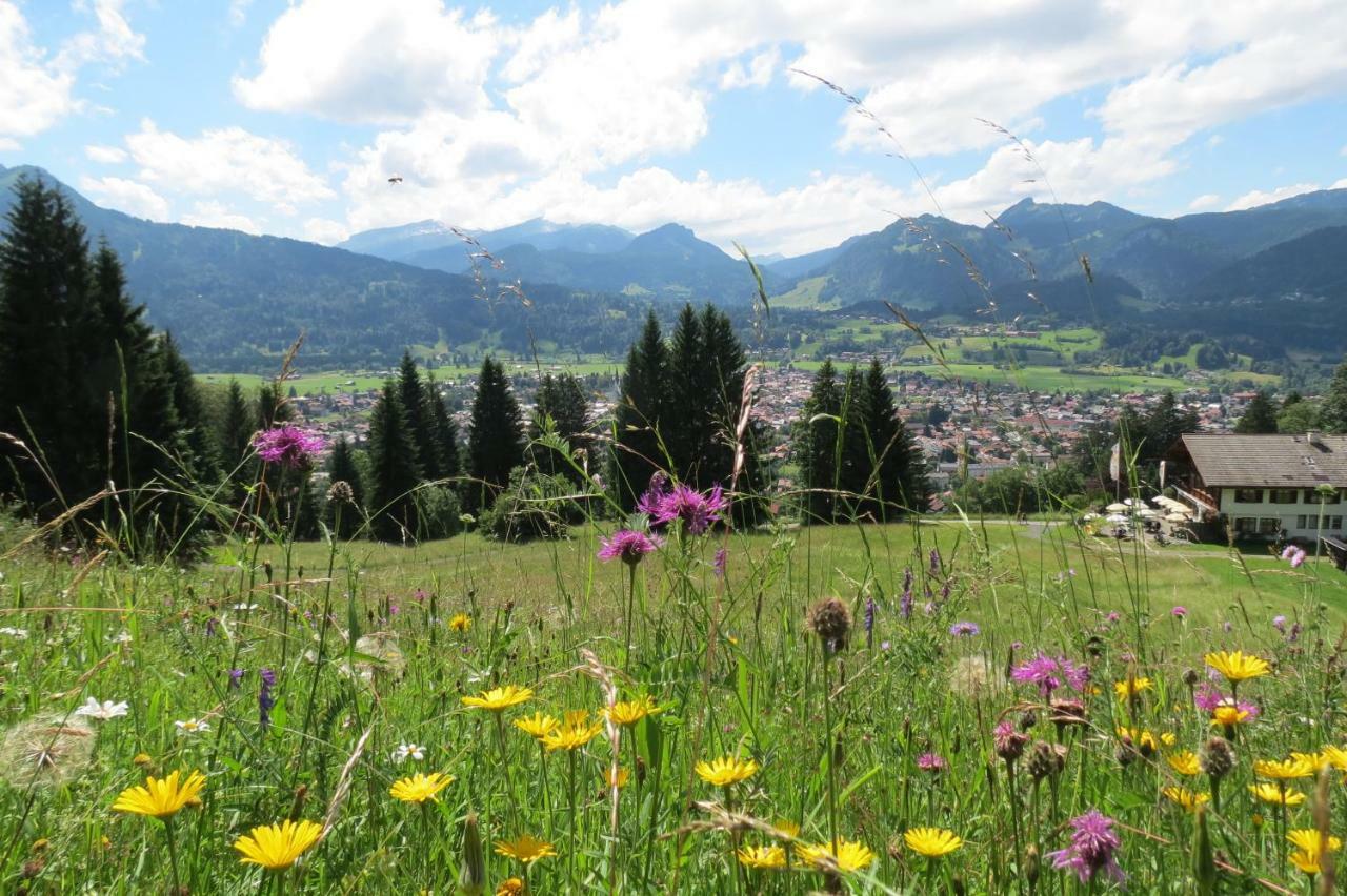 Alpentraum - Alpengrün *